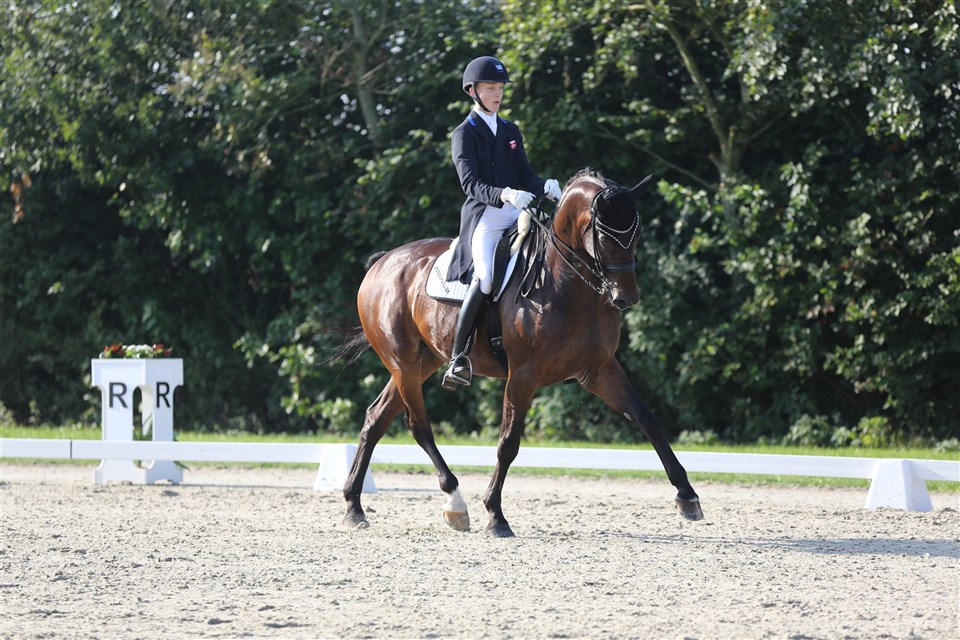 Valløs Don Felix e. Don Federico/Blue Hors Future Cup. Samme mor som Filippa - vinder af Prix st. George med 75%