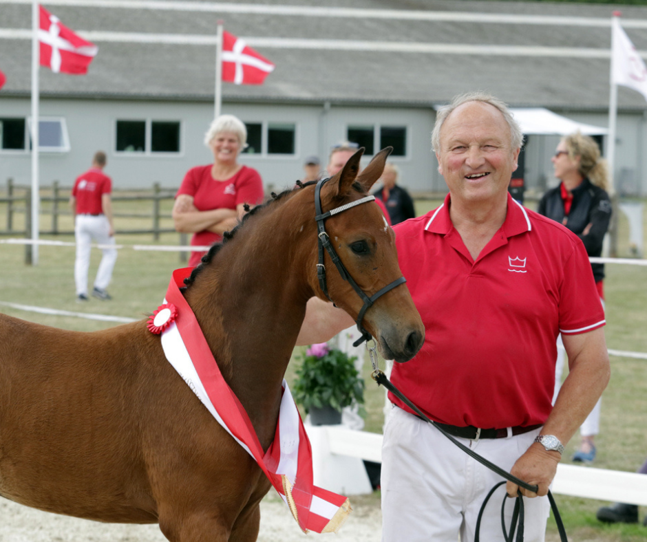 Mogens med Worres Nichoel på fløjen i 2020